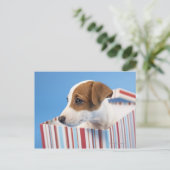 Hund in einer Geschenkboxen Postkarte (Stehend Vorderseite)