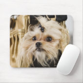 Hund in einer Handtasche Mousepad (Mit Mouse)