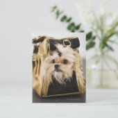 Hund in einer Handtasche Postkarte (Stehend Vorderseite)