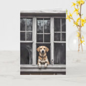 Hund in Fenster für Miss Sie Karte (Gelbe Blume)