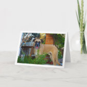 Hund in Garden Portrait Karte (Vorderseite)