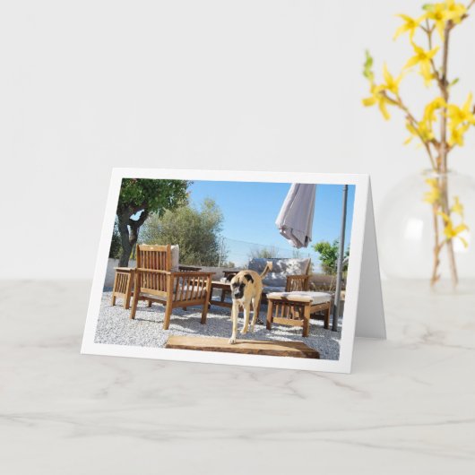 Hund in Garten Karte (Gelbe Blume)