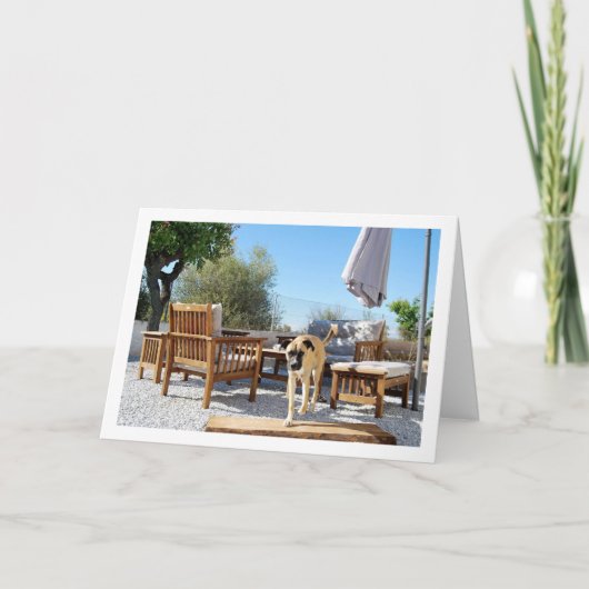 Hund in Garten Karte (Vorderseite)
