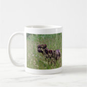 Hund in großem Gras Kaffeetasse (Links)