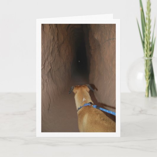 Hund in Höhle Karte (Vorderseite)