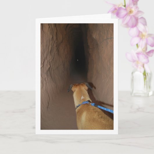 Hund in Höhle Karte (Orchidee)