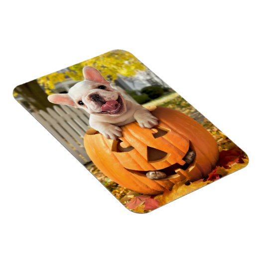 Hund in Jack-o-Lantern Magnet (Rechte Seite)