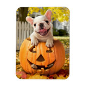 Hund in Jack-o-Lantern Magnet (Vertikal)