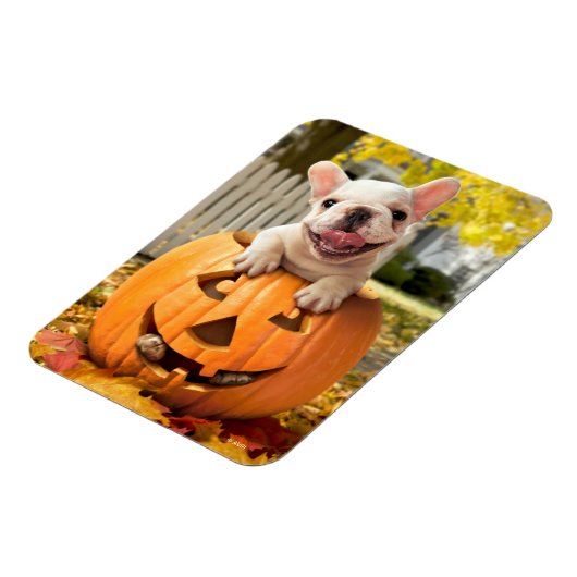 Hund in Jack-o-Lantern Magnet (Linke Seite)