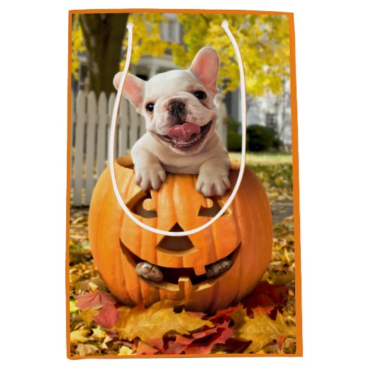 Hund in Jack-o-Lantern Mittlere Geschenktüte (Vorderseite)