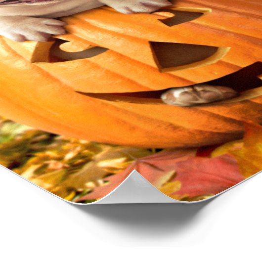 Hund in Jack-o-Lantern Poster (Ecke)