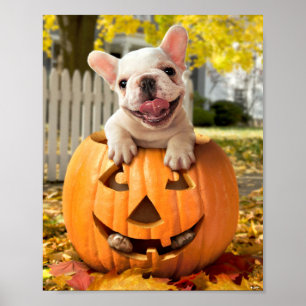 Hund in Jack-o-Lantern Poster