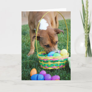 Hund in Korb-Ostern-Karte Feiertagskarte
