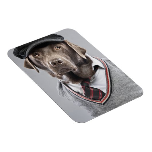 Hund in Pullover und Kapsel Magnet (Rechte Seite)