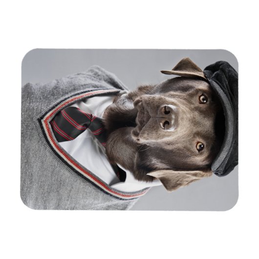 Hund in Pullover und Kapsel Magnet (Horizontal)