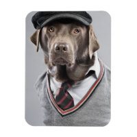Hund in Pullover und Kapsel