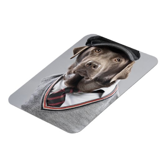 Hund in Pullover und Kapsel Magnet (Linke Seite)