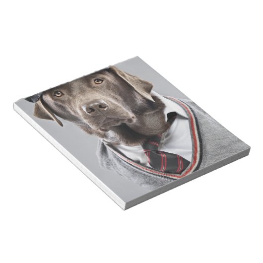 Hund in Pullover und Kapsel Notizblock (angewinkelt)