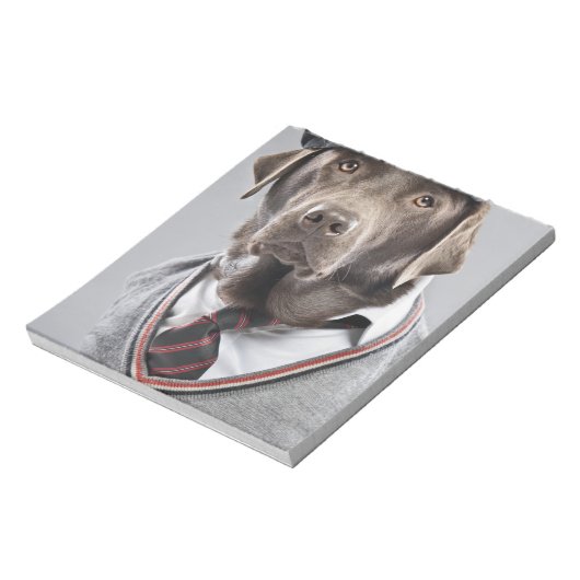 Hund in Pullover und Kapsel Notizblock (Rotiert)