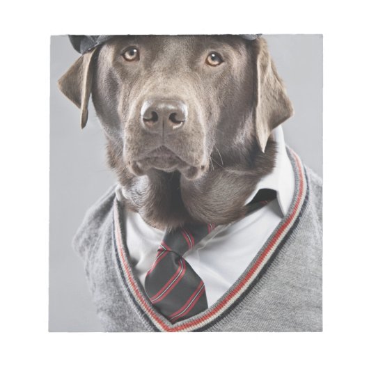 Hund in Pullover und Kapsel Notizblock (Vorderseite)