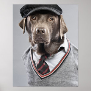 Hund in Pullover und Kapsel Poster
