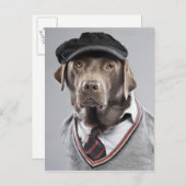 Hund in Pullover und Kapsel Postkarte (Vorne/Hinten)