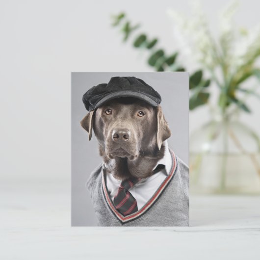 Hund in Pullover und Kapsel Postkarte (Stehend Vorderseite)