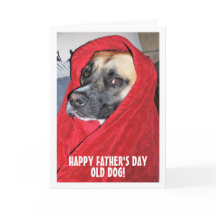 Hund in Red Blanket Portrait