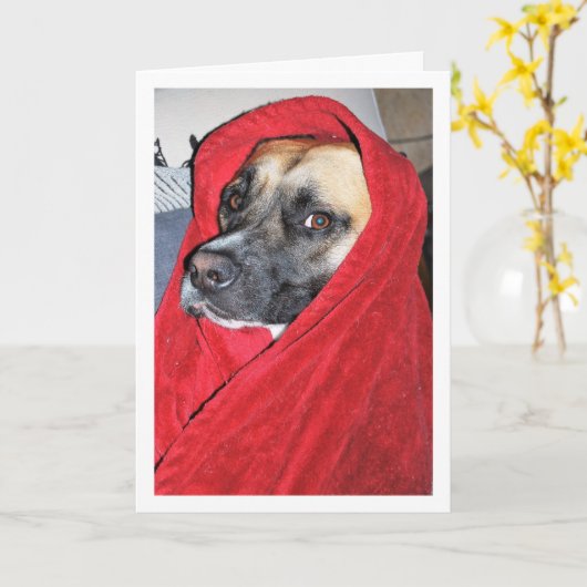 Hund in Red Blanket Portrait Karte (Gelbe Blume)
