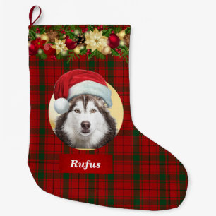 Hund in Santa Claus Hat Foto Weihnachtsname Karier Großer Weihnachtsstrumpf