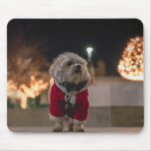 Hund in Santa-Kostüm Mousepad (Vorne)