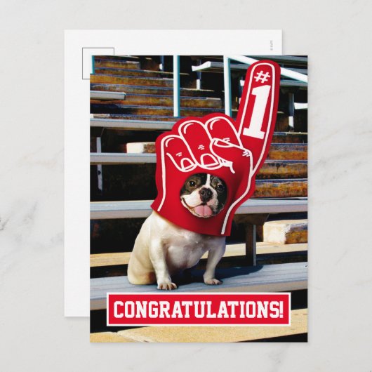 Hund in Schaumhand Einladungspostkarte (Vorne/Hinten)