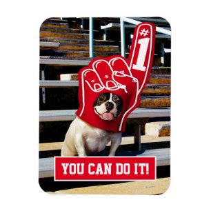 Hund in Schaumhand Magnet