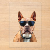 Hund in Sonnenbrille, Größe: 5" x 7" Acryleinladungen (Vorderseite)