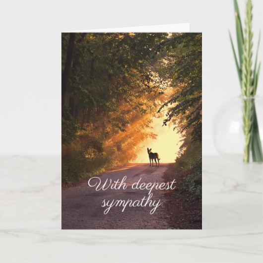 Hund in Sonnenuntergang Beileid-Karte Einladung (Vorderseite)