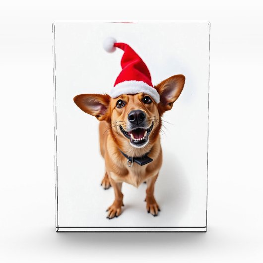 Hund in Weihnachtsmannmütze Fotoblock (Vorderseite)