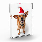 Hund in Weihnachtsmannmütze Fotoblock (Links)