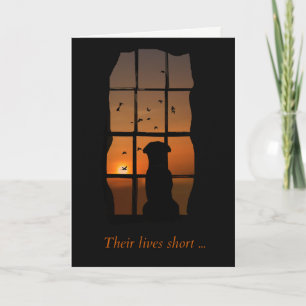 Hund in Windows Memorial Card Karte