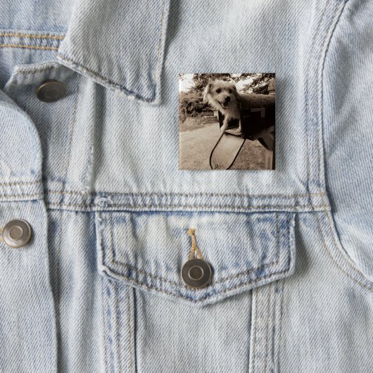 Hund innerhalb eines Briefkastens Button (Beispiel)