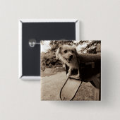 Hund innerhalb eines Briefkastens Button (Vorne & Hinten)