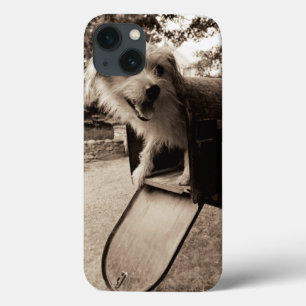 Hund innerhalb eines Briefkastens Case-Mate iPhone Hülle