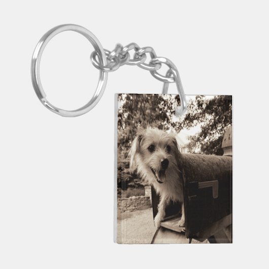 Hund innerhalb eines Briefkastens Schlüsselanhänger (Vorderseite links)