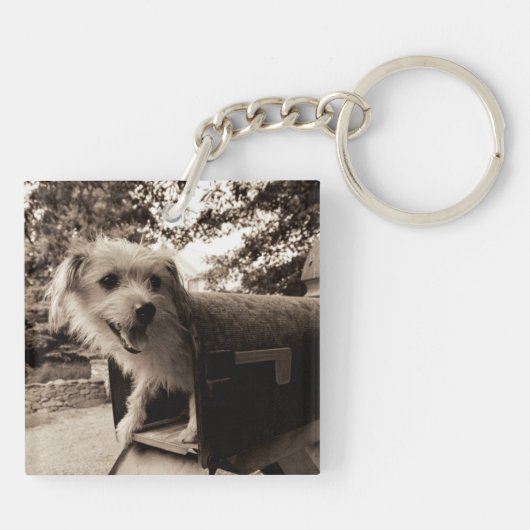 Hund innerhalb eines Briefkastens Schlüsselanhänger (Rückseite)