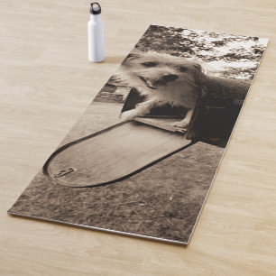 Hund innerhalb eines Briefkastens Yogamatte