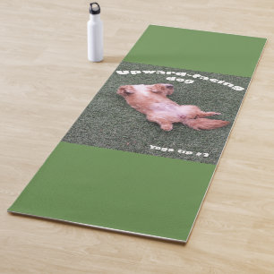 Hund inspiriert Yogaübung Yogamatte