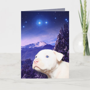 Hund ist der Gott, der rückwärts… buchstabiert Feiertagskarte