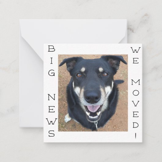 Hund ist glücklich geworden! Postkarte (Vorderseite)