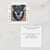 Hund ist glücklich geworden! Postkarte (Vorne/Hinten)
