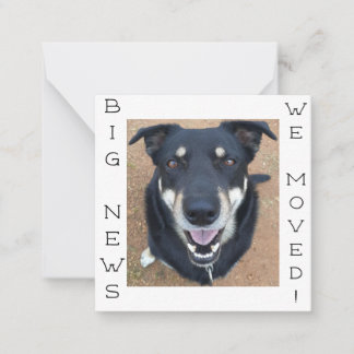 Hund ist glücklich geworden! Postkarte