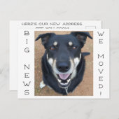 Hund ist glücklich geworden! postkarte (Vorne/Hinten)